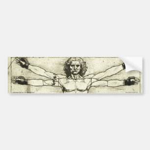 Vitruvian MIXED MARTIAL ARTS Mann Autoaufkleber