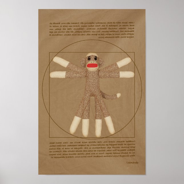 Vitruvian Monkey Poster (Vorne)