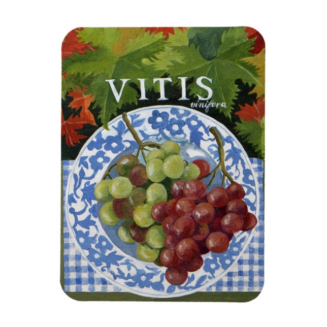 Vitus Magnet (Vertikal)