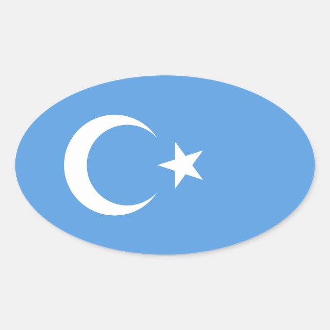 VIUR East Turkestan Uyghur Flag Ovaler Aufkleber (Vorderseite)
