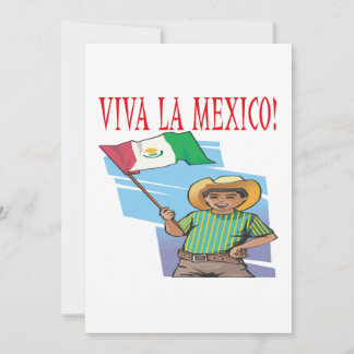 Viva La Mexiko Einladung