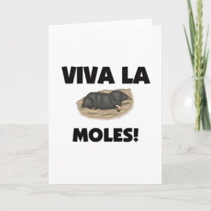 Viva La-Molen Karte