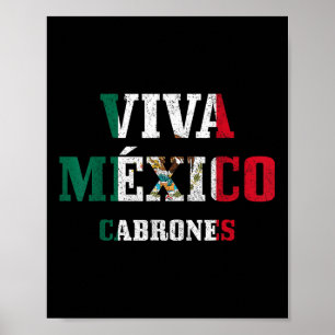 Viva Mexico Cabrones Funny Cinco De Mayo Mexican F Poster