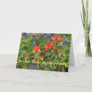 Vivid Indian Paintbrush Feiertagskarte