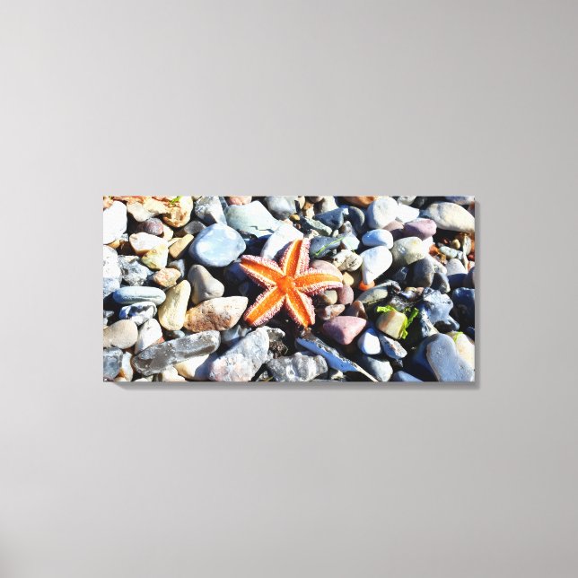 Vivid Orange Starfish Beach Pebble Canvas Print Leinwanddruck (Vorderseite)