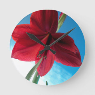 Vivid red Amaryllis Blume Runde Wanduhr