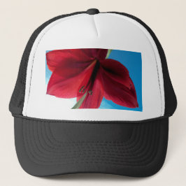 Vivid red Amaryllis Blume Truckerkappe
