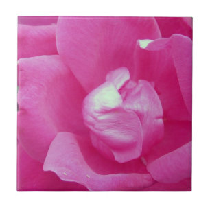 Vivid Rose Photo Carreaux en céramique