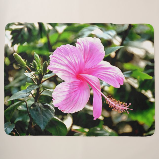 Vivid Tropical Pink Hibiscus Sherpadecke (Vorderseite (Horizontal))