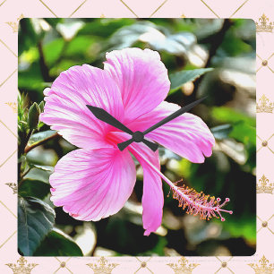 Vivid Tropical Pink Hibiskus Quadratische Wanduhr