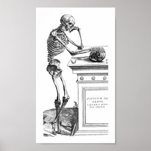 Vivitur Ingenio - Skeleton Poster