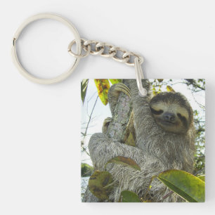 Vivre la vie comme une Sloth