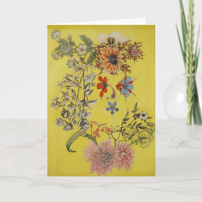 Vixen Karte (Vorderseite)