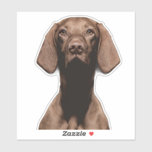 Vizsla-Ausschnitt Aufkleber