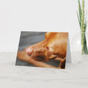 VIZSLA - blank card Karte