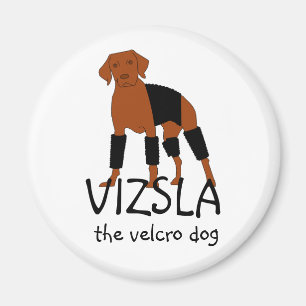 Vizsla der Flausch-Hundemagnet Magnet