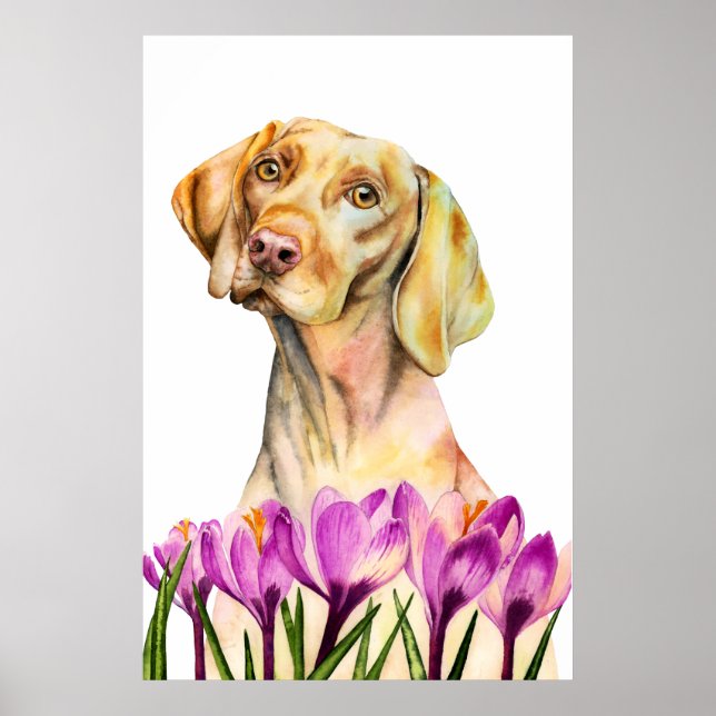 Vizsla Dog Aquarellmalerei, Bildende Kunst Poster (Vorne)