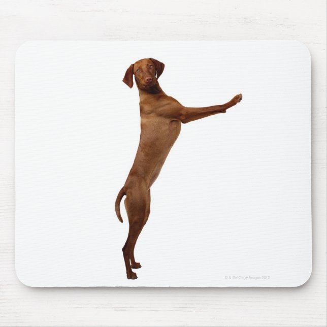 Vizsla Dog Mousepad (Vorne)