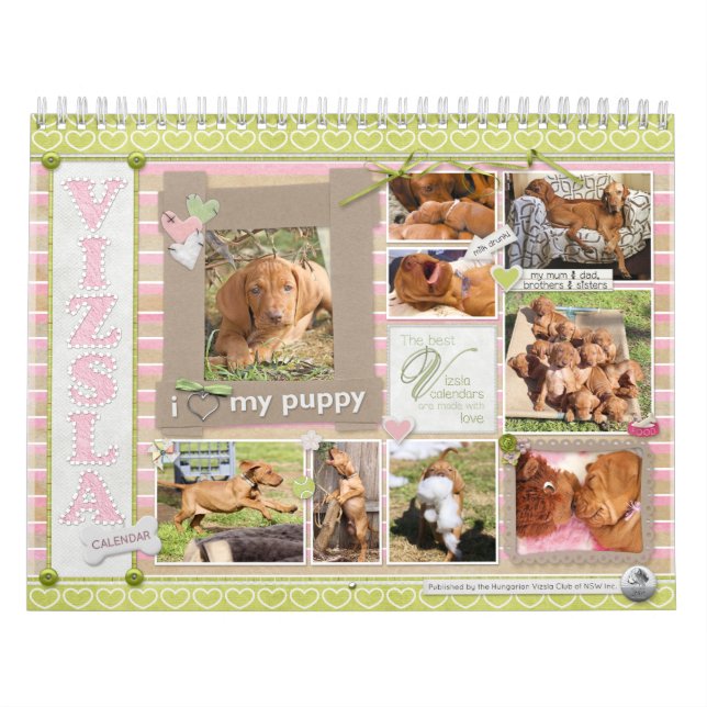 Vizsla Einklebebuch-Kalender Kalender (Titelbild)