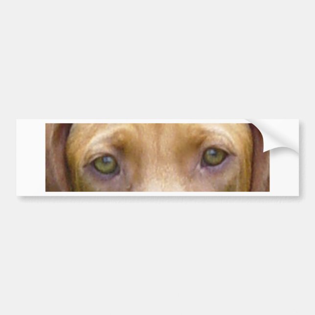 vizsla eyes.png autoaufkleber (Vorne)