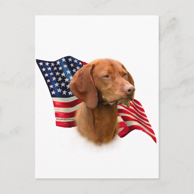 Vizsla Flag Postkarte (Vorderseite)