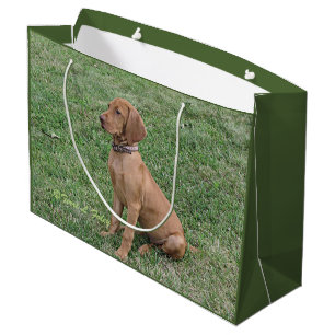 Vizsla Geschenk-Tasche Große Geschenktüte