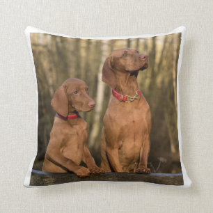 vizsla Gruppe Kissen