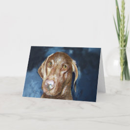 Vizsla Gruß-Karte mit zusammenpassender Karte