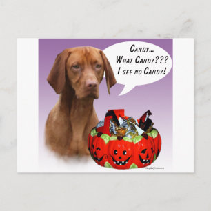 Vizsla Halloween Candy Postkarte