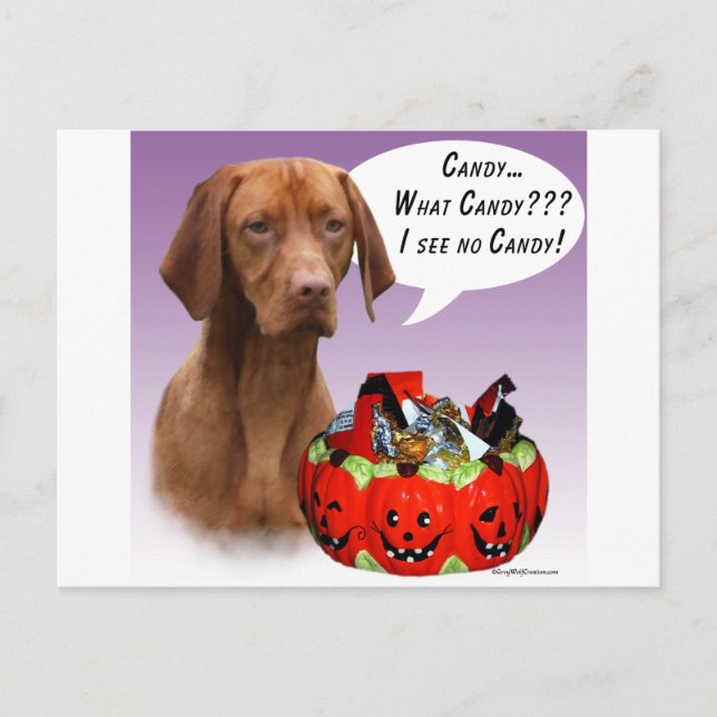 Vizsla Halloween Candy Postkarte (Vorderseite)