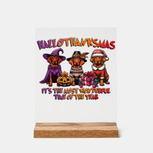 Vizsla Halloween Erntedankfest Weihnachten Klassis Acrylschild