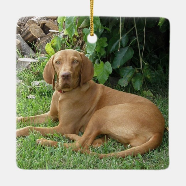 Vizsla Hound Dog Keramikornament (Rückseite)