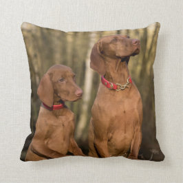 Vizsla Hound Hunde - Jagdhunde - Kissen