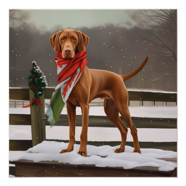 Vizsla Hund in Schnee Weihnachten Poster (Vorderseite)