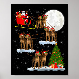 Vizsla-Hund Santa-Schlitten Fliegend Lustig Magisc Poster