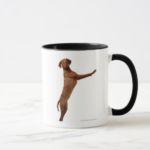 Vizsla Hund Tasse