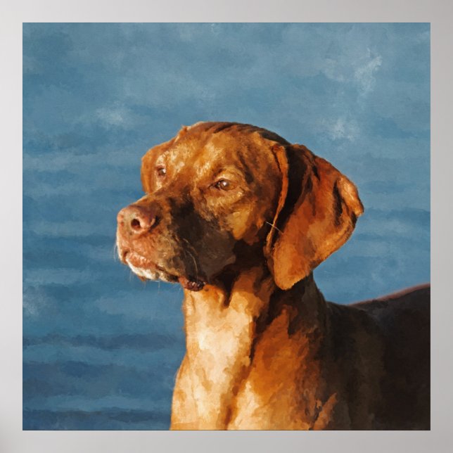 Vizsla-Hund - Ungarischer Hund Poster (Vorne)