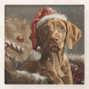 Vizsla-Hund Weihnachtsfestlich Glasuntersetzer