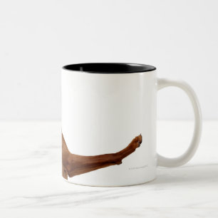 Vizsla Hund Zweifarbige Tasse