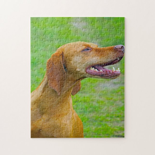 Vizsla-Hunde-Puzzles. (Vertikal)