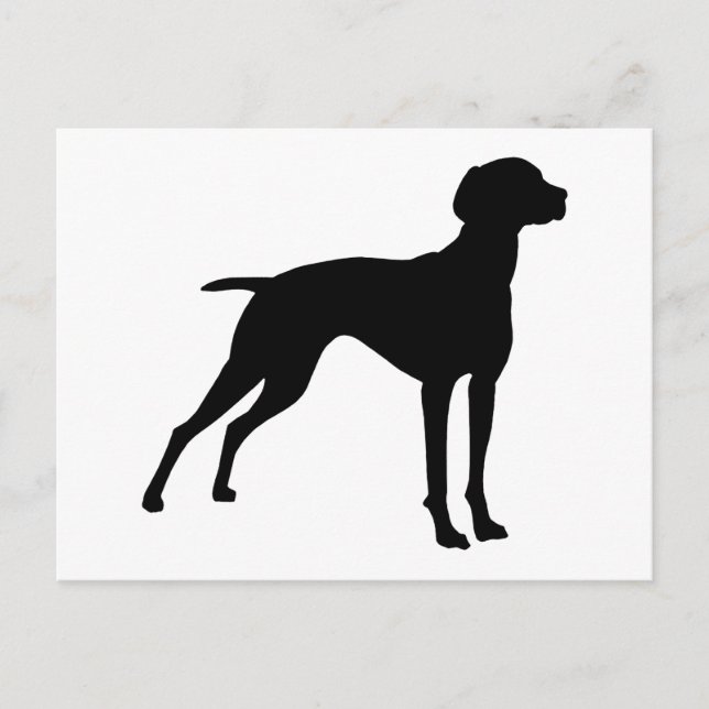 Vizsla-Hunde-Silhouette (schwarz) Postkarte (Vorderseite)