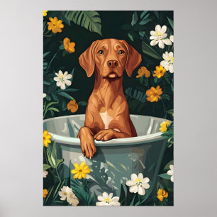 Vizsla In Badewanne Poster, Lustiges Hundeposter,  Poster