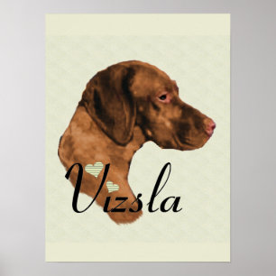 Vizsla-Kunstprint Poster