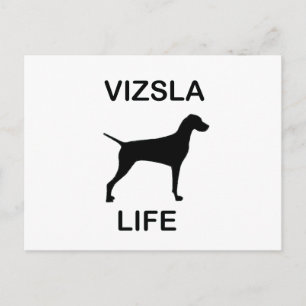 Vizsla Leben Postkarte