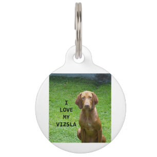 Vizsla Liebe mit Bild Tiermarke