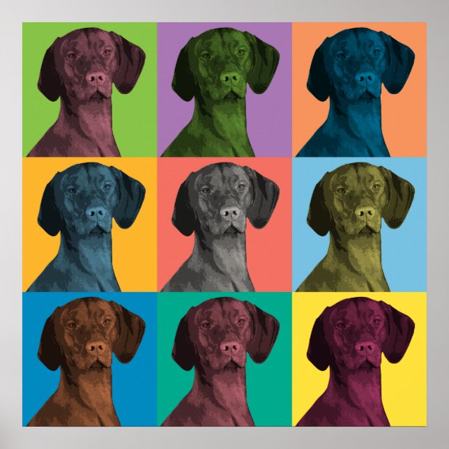 Vizsla Pop-Art-Poster Poster (Vorne)