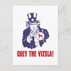 Vizsla Postkarte