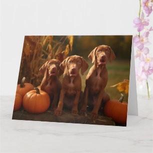 Vizsla Puppy Autumn Delight Pumpkin Karte