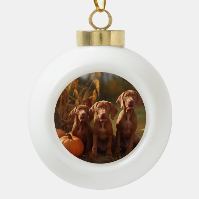 Vizsla Puppy Autumn Delight Pumpkin Keramik Kugel-Ornament (Vorderseite)