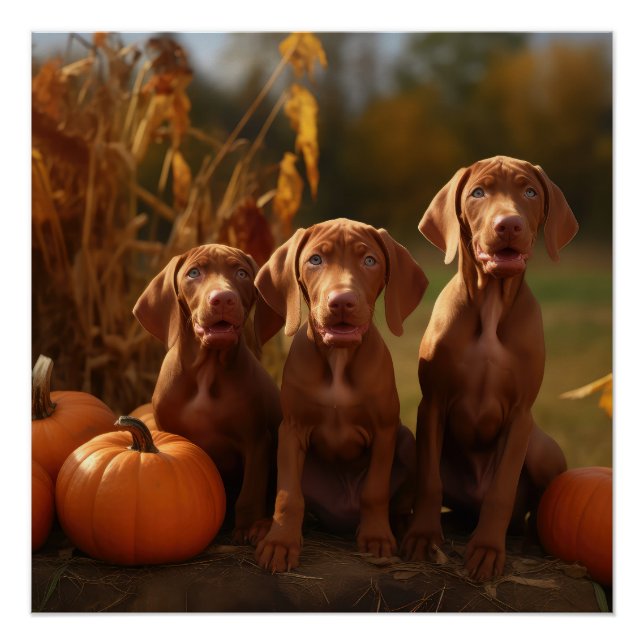 Vizsla Puppy Autumn Delight Pumpkin Poster (Vorderseite)